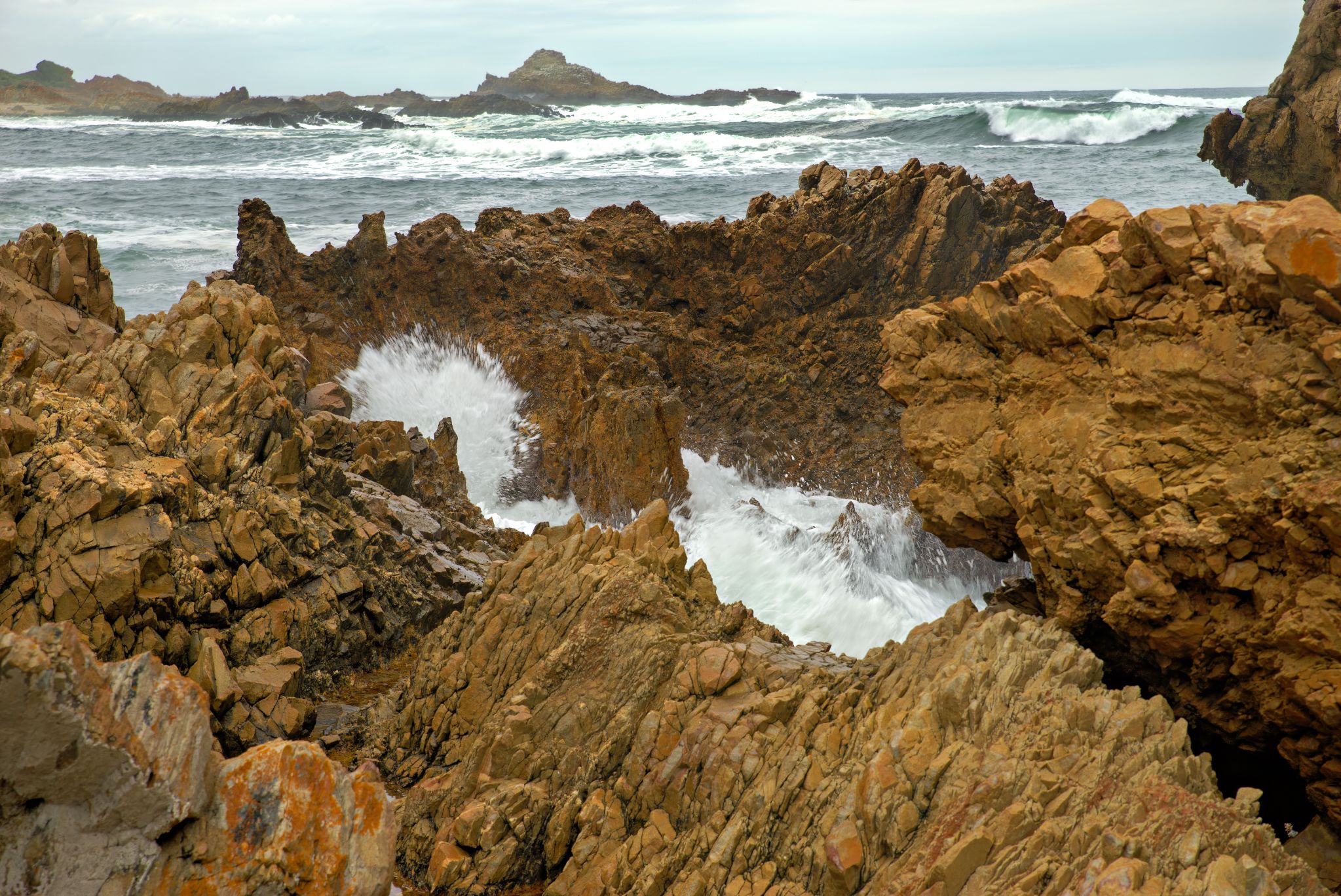 Knysna: Featherbed Private Nature Reserve